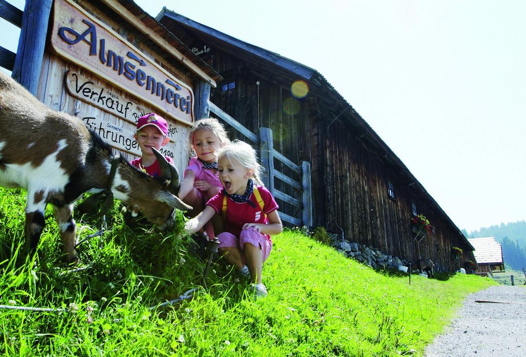 Familienhotel Steindl Millstatt Buitenkant foto
